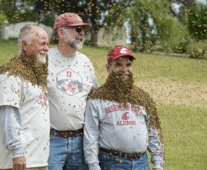 WSU entomologists Steve Sheppard, left, and Tim Lawrence join WSU provost Dan Bernardo to help kick off a new campaign for a Honey Bee and Pollinator Research Facility.