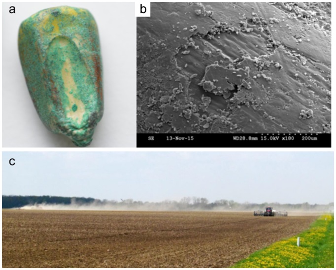 CATCH THE BUZZ – ABRC Abstracts Available. A Gold Mine of Information!