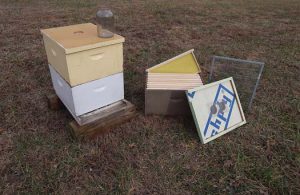 Why We Produce Nucs And How We Do It – Whether for pleasure or profit, any beekeeper can benefit from producing nucs.
