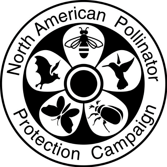 CATCH THE BUZZ – Looking For Agencies Who Are Leading The Field In Pollinator-Friendly Roadside Practices.