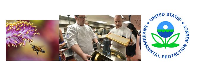 CATCH THE BUZZ – Three This Time…Natural Pesticides, Chefs and EPA Failures, Again!