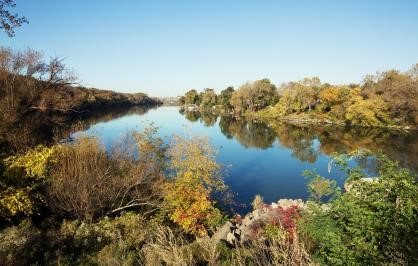 CATCH THE BUZZ – Pollinators Conservation Fund, Request for Proposals
