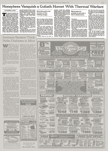 CATCH THE BUZZ- Japanese Honey Bees Kill Murder Hornets…NYTimes 1995
