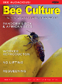 June 2017 Cover