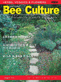 Aug 2017 Cover