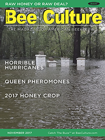 NOV 2017 Cover