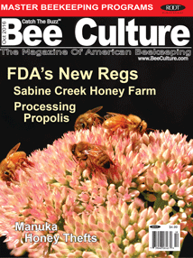 October 2016 Issue Cover
