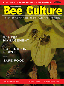 November 2016 Issue Cover