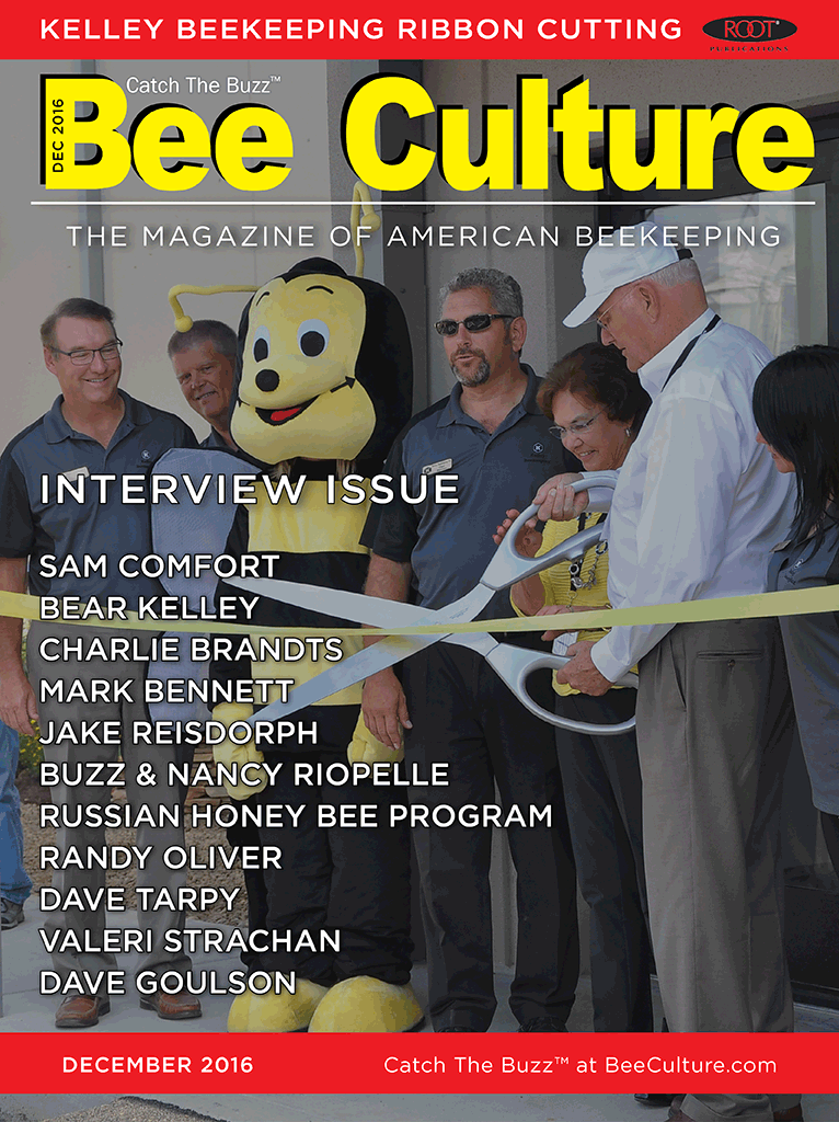 December 2016 Cover