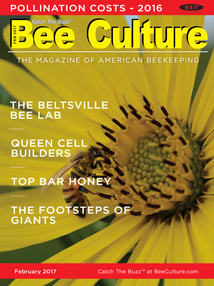 February 2017 Cover