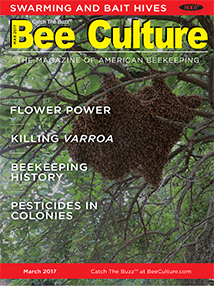 March 2017 Cover