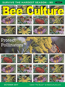 Sept 2017 Cover
