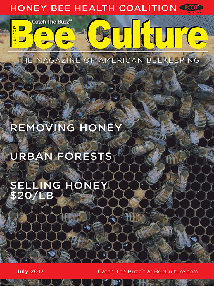 July 2017 Cover
