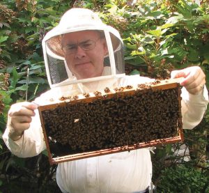 Better Beekeeping With Better Records
