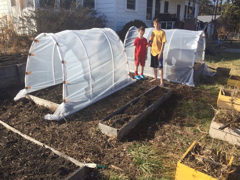 Bigger Picture Space Tunnels in the Front Yard Bee Culture