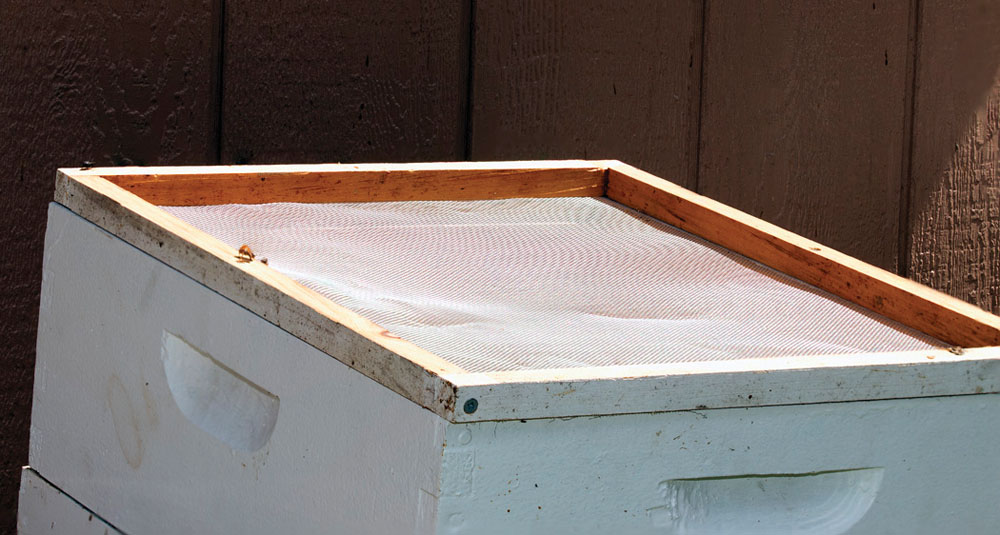 A simple beekeeper-built upper screen. (D. Wilson photo)