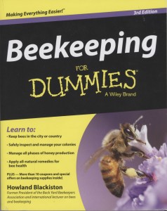 DummiesBook