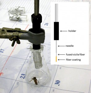 Figure 1. A live queen, in flask, is sampled for volatile compound emissions using a SPME fiber. The fiber is protected by a wire-mesh guard during sampling. Inset: diagram of a SPME fiber.