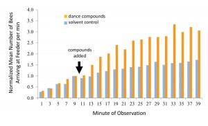 Figure 4. Results of experiment to determine whether dance compounds affect foraging behavior. Bee arrivals at the feeder dish were recorded for 10 minutes before the dance-compound mixture was injected, and for 30 minutes afterward. In half of the trials the pure solvent of the mixture was injected as a control. Each bar represents the mean number of arrivals from 15 trials, normalized among trials to account for daily fluctuations in foraging conditions. Redrawn from Gilley et al. 2012.