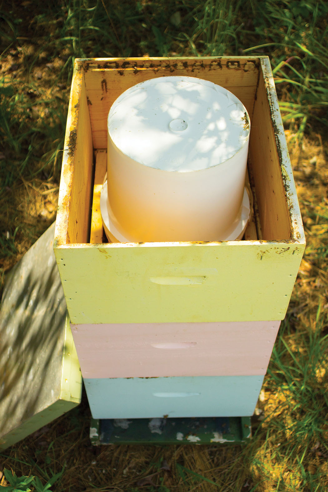 October In The Southeast Bee Culture