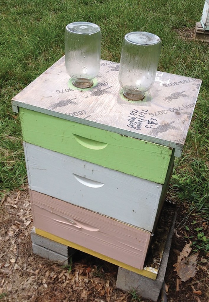 Feeding option we prefer. Two five-pound honey jars which equates to 1 gallon of feed being fed each time.