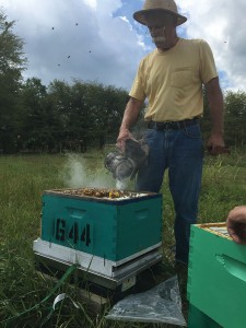 Don comes to do a health inspection on some of our colonies at work.