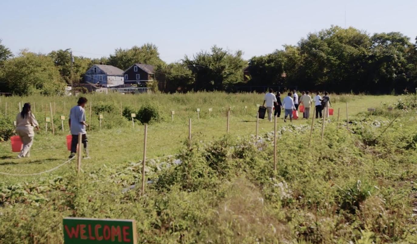 CATCH THE BUZZ – Urban Farm Surprises – What’s in the Soil, Really?