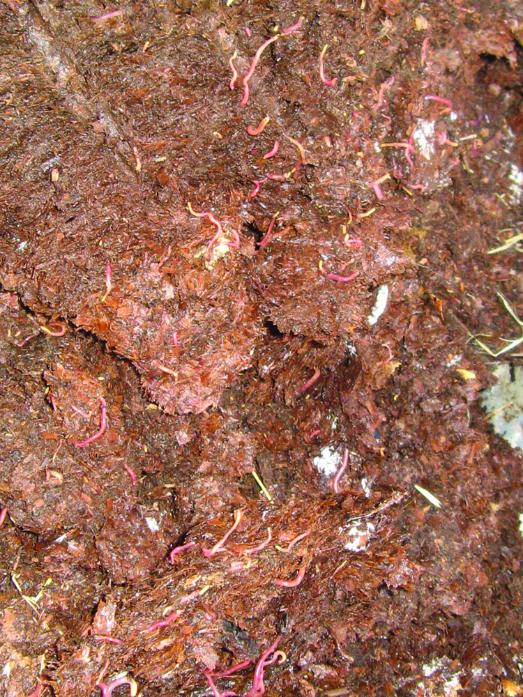 Well made compost and especially humus is full of biological activity (and worms), as well as carbon in the form of organic matter. Plants grown in such soil tend to resist diseases, droughts and floods and are able to remove carbon dioxide from the atmosphere and sequester the carbon in the ground.