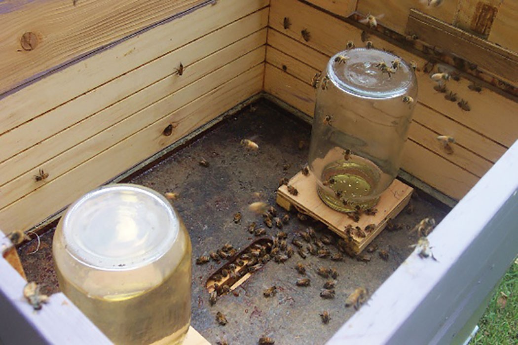 2 Beekeeping Miller Feeders 1L 2 Pint 