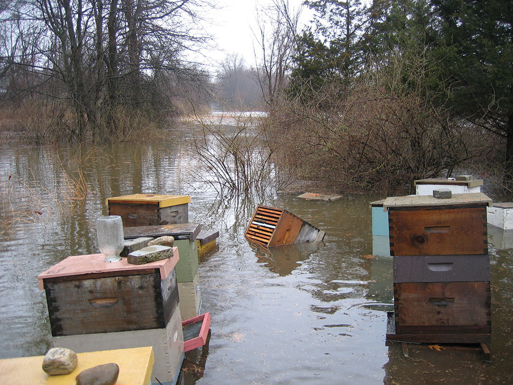 Flooding had never happened in this yard. The river is nearly a mile away. (Ted and Becky Jones photo)