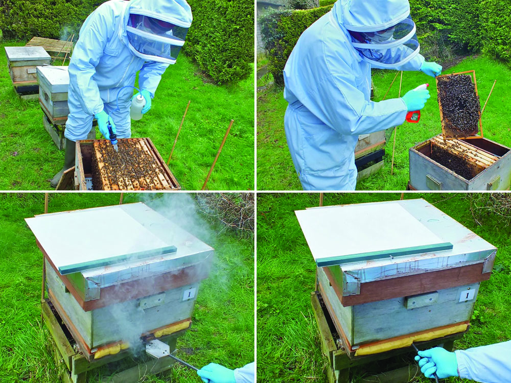 Beekeeping Use Oxalic Acid Evaporator Gas Sprayer To Treat Bees & Anti-mite Set 