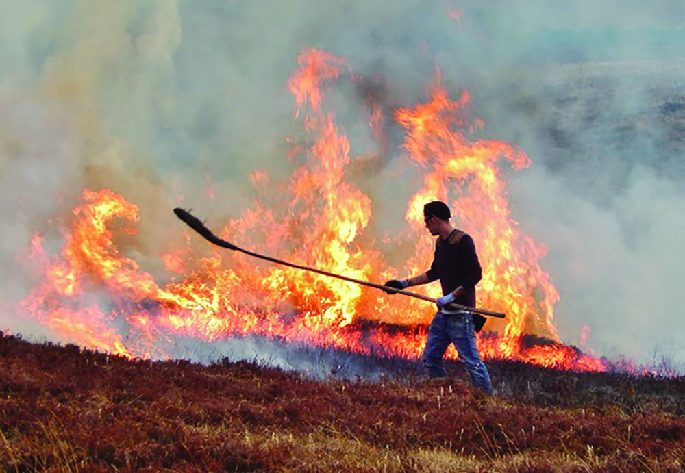 Moor burning. (photo by Peter McKinney)