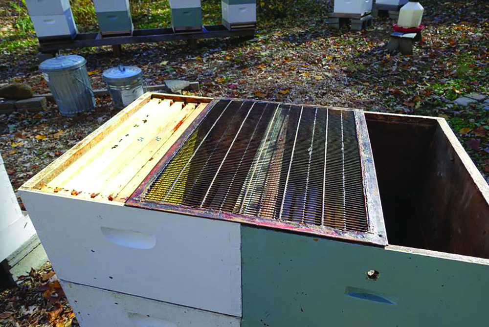 Figure 4. This mock-up illustrates that the key manipulation in a horizontal two-queen system is to allow both brood chambers access to a single set of honey supers while isolating the queens. A flat queen excluder placed between them is all you'll need to get it done. In operation, the frames on each side of the excluder are available for drone trapping, inspections, and manipulating brood. After the flow and harvest, a two-queen system can be dismantled or allowed to continue. 