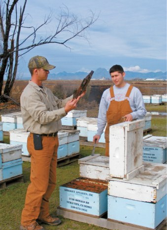 CATCH THE BUZZ – Beehive Thefts Add to Pressures at Bloom Time