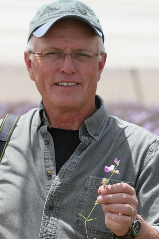 CATCH THE BUZZ – News From Gordy Wardell on Almond Pollination and Honey Bee Health