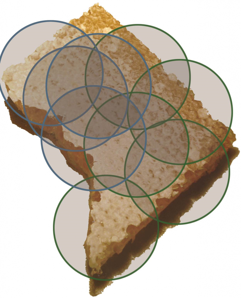 This is a map of DC cut out of honey comb. Superimposed on it are the flight areas of just the apiaries that Toni manages (green circle) and that she mentors (blue) downtown. Just in her own colonies, there is an effective route of transmission from one corner of DC to the other.