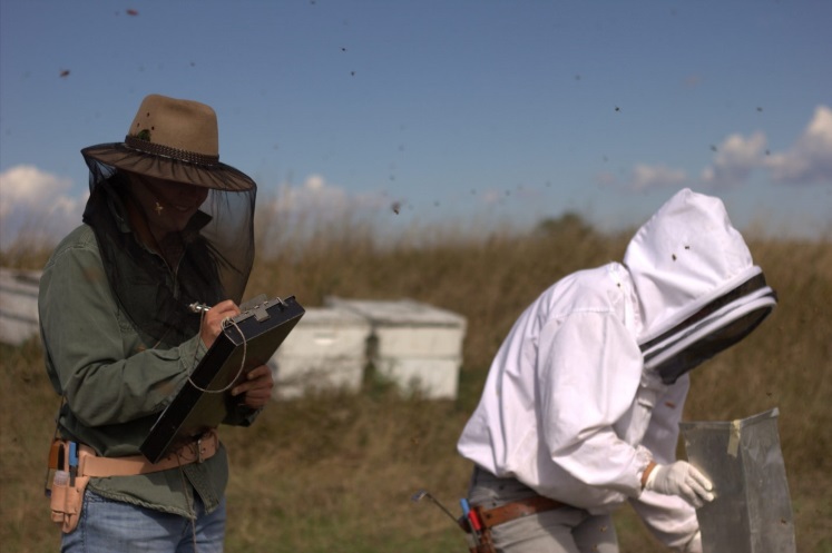 CATCH THE BUZZ – 2015-2016 COLONY LOSS AND MANAGEMENT SURVEY IS LIVE: TAKE THE SURVEY TODAY!