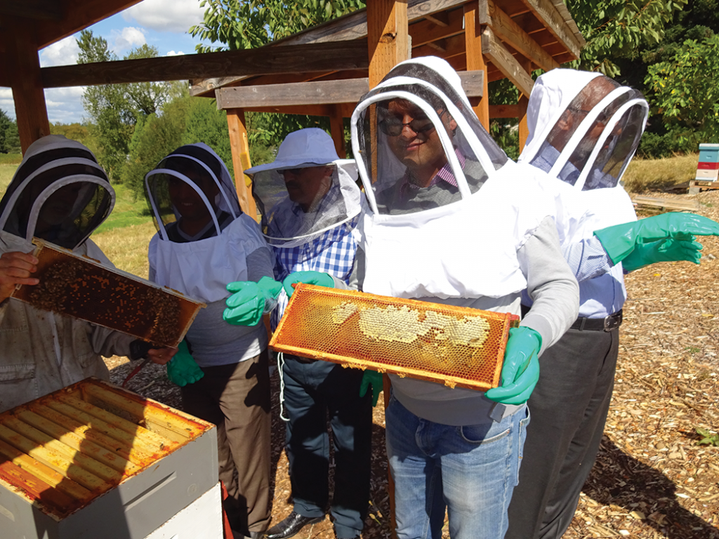 Tim, left, showing spotty brood pattern, visitor showing capped and ripening honey.