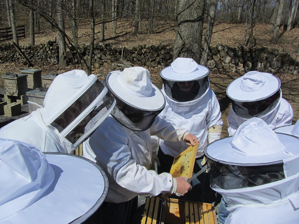 Ed showing how to find his unmarked queens. Most of the time, it’s a race to see who can find the queen before Ed.