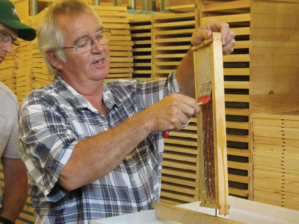 James Copenhaver demonstrating harvesting honey at Geezers Ridge Farm training center for the Vets who are planning on having lots of honey next year.