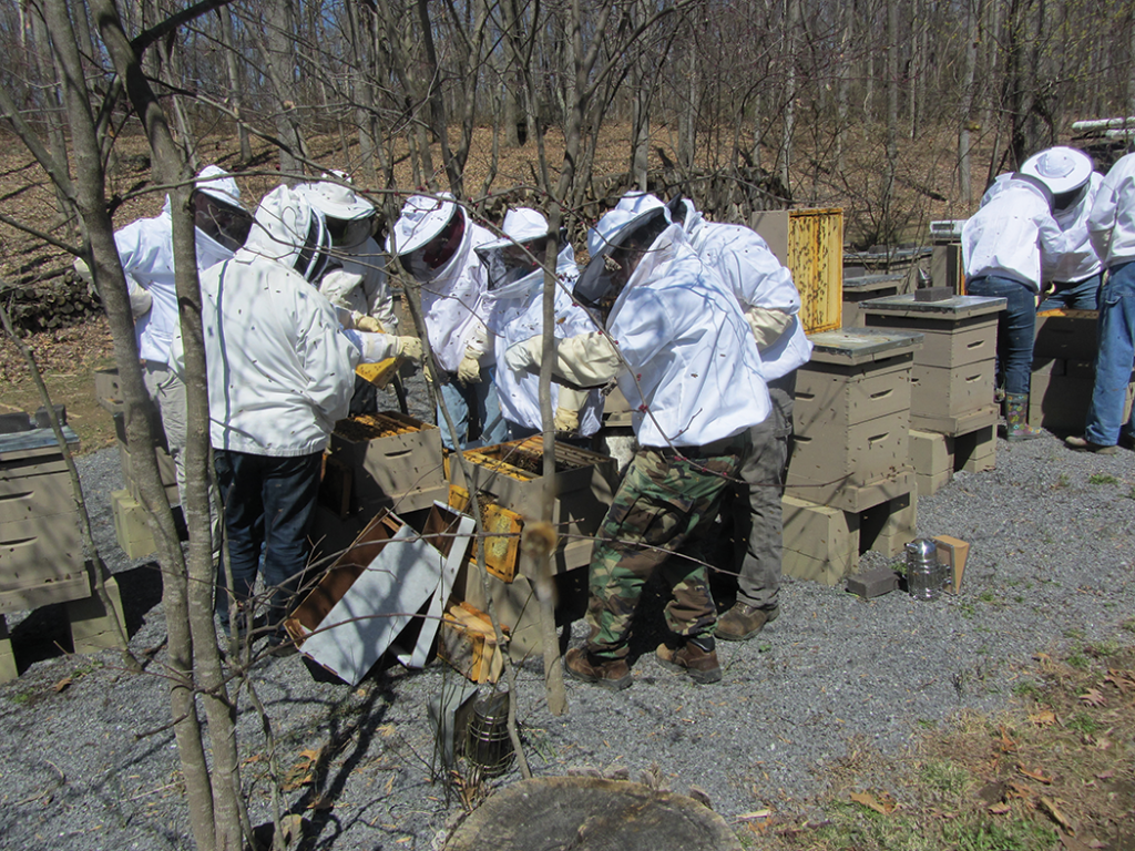 James Copenhaver demonstrating harvesting honey at Geezers Ridge Farm training center for the Vets who are planning on having lots of honey next year.