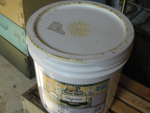 An empty container with a leak-proof lid such as this gallon-sized bucket can make a great honey bee feeder
