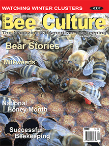 September 2016 Issue Cover
