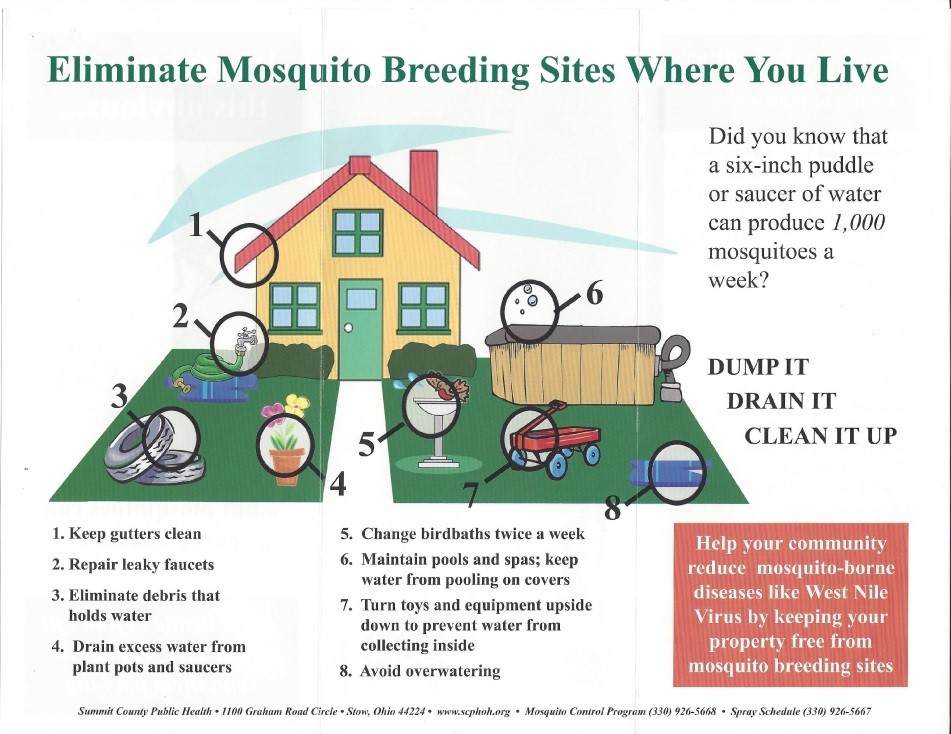 How to Control Mosquitoes Without Killing Pollinators and Other