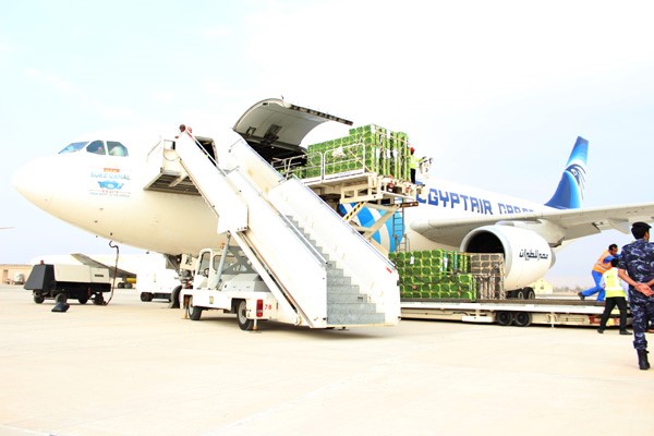 CATCH THE BUZZ – Egyptair Cargo flight delivers 60 million bees to RAK Airport