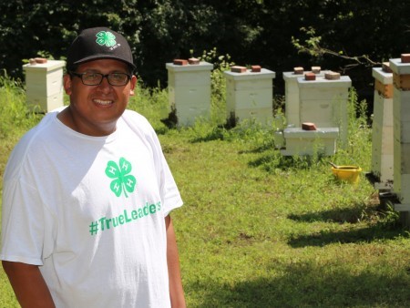 CATCH THE BUZZ – The key ingredient of 4-H is the combination of hands-on learning activities with the oversight of caring adult mentor volunteers