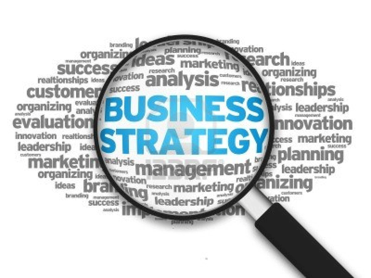 An Organization Strategic Business Plan