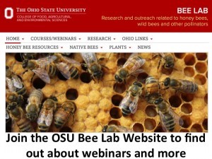 CATCH THE BUZZ – The Ohio State University 2017 Bee Lab Webinar Series