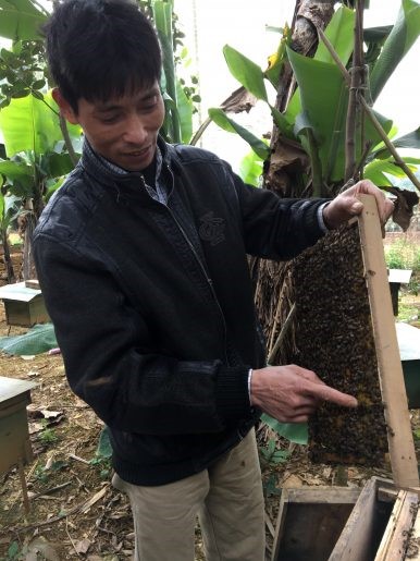 CATCH THE BUZZ – Vietnam’s beekeepers fight climate change to keep their hives alive.