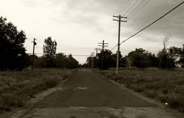 CATCH THE BUZZ – Detroit’s abandoned city lots and vacant land provide lots of space and a safe place to be for pollinators.